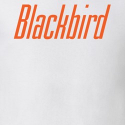 Blackbird Chicago Restaurant T Shirt Blackbird Chicago Restaurant T Shirt