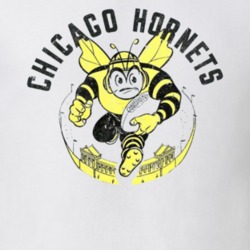 Chicago Hornets All-america Football Conference Aafc League Team Logo Chicago Hornets All-america Football Conference Aafc League Team Logo
