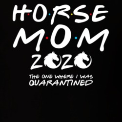 Horse Mom 2020 The One Where I Was Quarantined Pet Owner T Shirt Horse Mom 2020 The One Where I Was Quarantined Pet Owner T Shirt