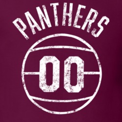 Above The Rim Retro Basketball Movie Panthers Logo T Shirt Above The Rim Retro Basketball Movie Panthers Logo T Shirt