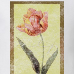 Congress Tulips Playing Cards Logo Box Cover Gambling Poker Games Fan Congress Tulips Playing Cards Logo Box Cover Gambling Poker Games Fan