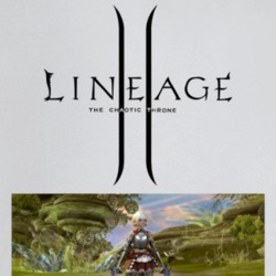 Lineage 2 Video Game Arcade Fan T Shirt Lineage 2 Video Game Arcade Fan T Shirt