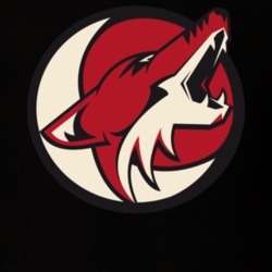 Arizona Coyotes Saltillo Hockey T Shirt Arizona Coyotes Club Logo Nhl Arizona Coyotes Saltillo Hockey T Shirt Arizona Coyotes Club Logo Nhl