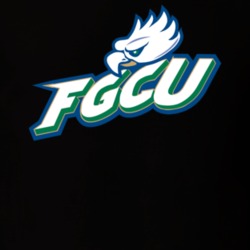 Fgcu Florida Gulf Coast Eagles Cool Unisex T Shirt Fgcu Florida Gulf Coast Eagles Cool Unisex T Shirt