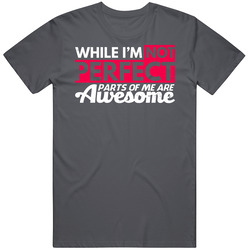While I'm Not Perfect Parts Of Me Are Awesome Funny Worn Look Vintage T Shirt