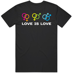 Love Is Love Lgbt Gay Homosexual Bisexual Pride Awareness Vintage T Shirt Love Is Love Lgbt Gay Homosexual Bisexual Pride Awareness Vintage T Shirt