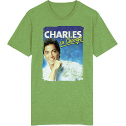 Charles In Charge 80s Tv Series Show Worn Look Vintage Unisex Retro T Shirt Charles In Charge 80s Tv Series Show Worn Look Vintage Unisex Retro T Shirt