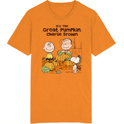 It's The Great Pumpkin, Charlie Brown 60s Tv Series Show Worn Look Vintage Unisex Retro T Shirt
