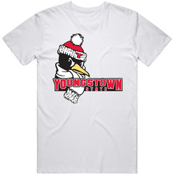 Youngstown State Logo College Logo College Sports Fan Cool Retro T Shirt