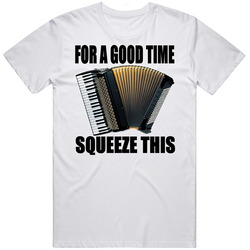 For A Good Time Squeeze This Accordion V.2 Retro Classic T Shirt