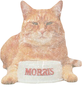 https://s3.us-west-1.wasabisys.com/ecart-content/thebestofchristmas.com/overlays/403/235/40323570.png img
