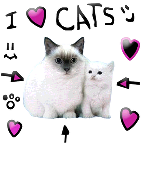 https://s3.us-west-1.wasabisys.com/ecart-content/thebestofchristmas.com/overlays/403/239/40323992.png img
