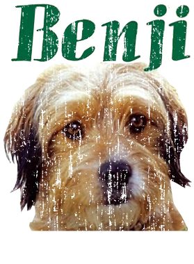 https://s3.us-west-1.wasabisys.com/ecart-content/thebestofchristmas.com/overlays/403/242/40324212.png img