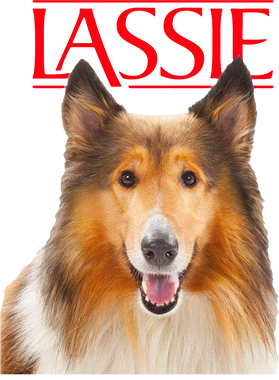 https://s3.us-west-1.wasabisys.com/ecart-content/thebestofchristmas.com/overlays/403/243/40324321.png img