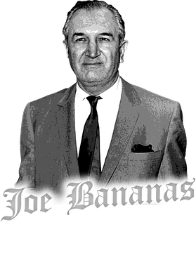 https://s3.us-west-1.wasabisys.com/ecart-content/thebestofchristmas.com/overlays/403/248/40324802.png img