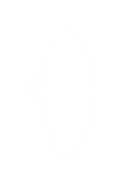 https://s3.us-west-1.wasabisys.com/ecart-content/thebestofchristmas.com/overlays/403/272/40327278.png img