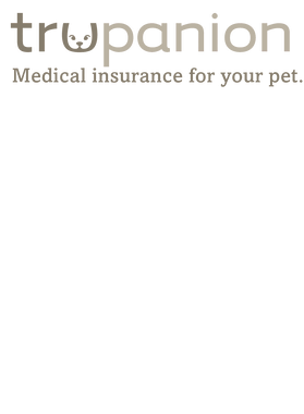 https://s3.us-west-1.wasabisys.com/ecart-content/thebestofchristmas.com/overlays/403/300/40330013.png img