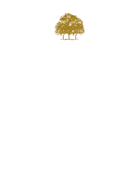 https://s3.us-west-1.wasabisys.com/ecart-content/thebestofchristmas.com/overlays/403/305/40330538.png img