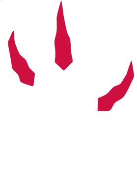 https://s3.us-west-1.wasabisys.com/ecart-content/thebestofchristmas.com/overlays/403/325/40332530.png img