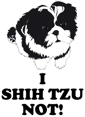 https://s3.us-west-1.wasabisys.com/ecart-content/thebestofchristmas.com/overlays/403/329/40332971.png img