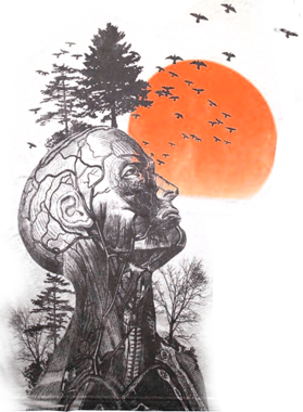 https://s3.us-west-1.wasabisys.com/ecart-content/trendyteeshop.com/overlays/261/255/26125506.png img