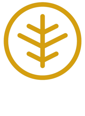 https://s3.us-west-1.wasabisys.com/ecart-content/trendyteeshop.com/overlays/360/902/36090263.png img