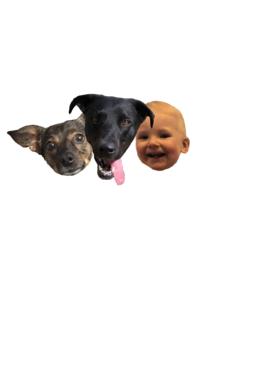 https://s3.us-west-1.wasabisys.com/ecart-content/trendyteeshop.com/overlays/392/312/39231200.png img