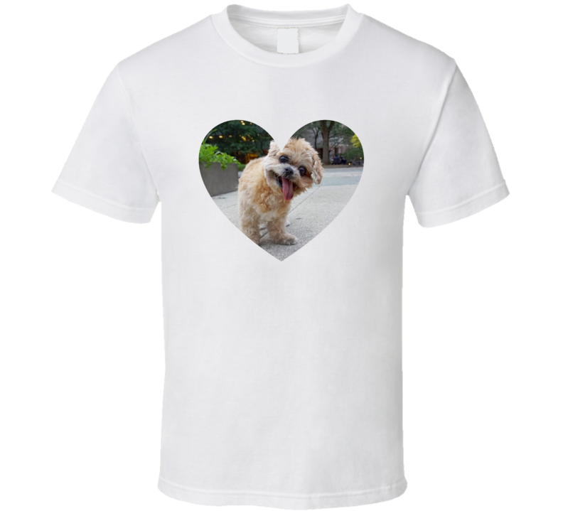 front preview