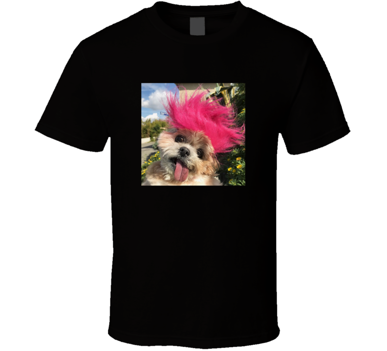 front preview
