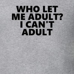 Who Let Me Adult? I Can't Adult Funny Adulting T Shirt