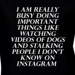 I Am Really Busy Important Things Funny T Shirt