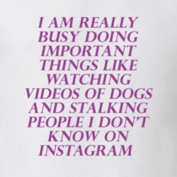 I Am Really Busy Important Things Funny T Shirt