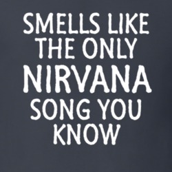 Smells Like The Only Nirvana Song You Know Funny Music T Shirt