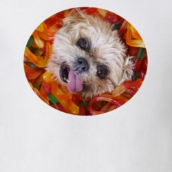 Marnie The Dog Cute Instagram Gummy Word T Shirt