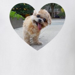 Heart Marnie The Dog Cute Instagram Word T Shirt