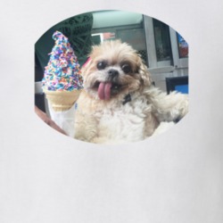 Marnie The Dog Cute Ice Cream Instagram T Shirt