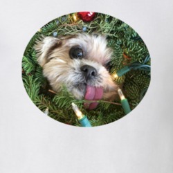 Marnie The Dog Cute Christmas Instagram T Shirt