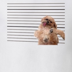 Marnie The Dog Cute Lines Instagram T Shirt