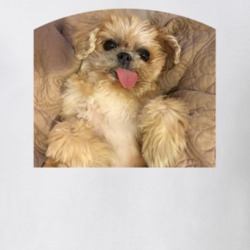 Relaxed Marnie The Dog Cute Instagram T Shirt
