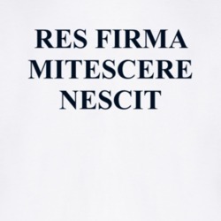 American Flyers Res Firma Mitescere Nescit Movie Replica T Shirt