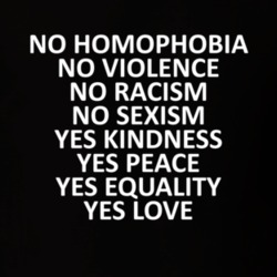 No Homophobia Violence Racism Sexism Yes Love Peace Equality T Shirt