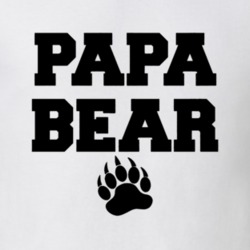 Papa Bear Dad Father Cute Funny Family Gift Idea T Shirt