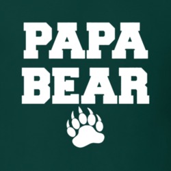 Papa Bear Dad Father Cute Funny Family Gift Idea T Shirt