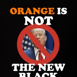 Orange Is Not The New Black Funny Election Women's March Feminist Equa