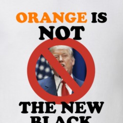 Orange Is Not The New Black Election Trump Women's March Feminist Equa