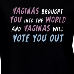 Vaginas Brought You Into The World Women's March Feminist Equality T S