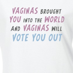 Vaginas Brought You Into This World Women's March Feminist Equality T 