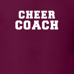 Cheer Coach Cheerleading Job Occupation Gift Idea T Shirt