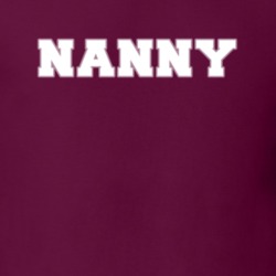 Nanny Babysitter Child Care Job Occupation Gift Idea T Shirt