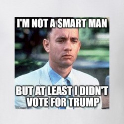 I'm Not A Smart Man But at Least I Didn't Vote For Trump Forrest Gump 